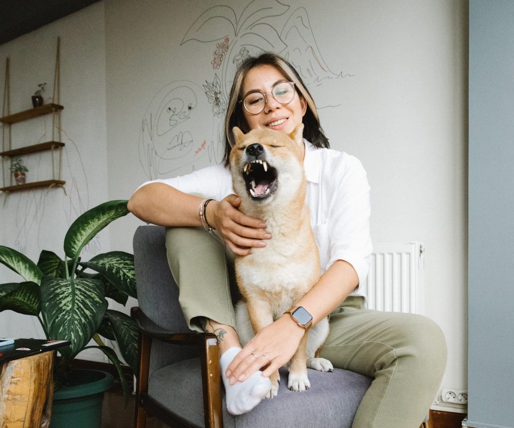 How To Stop Your Dog from Opening Doors Off The Leash Dog Training